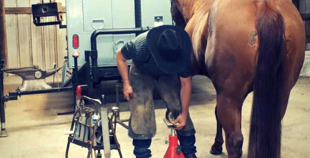 2017 Shoeing & Trimming Clinics