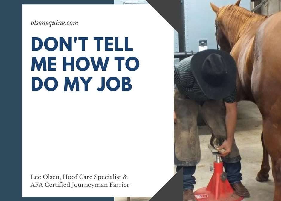 Don’t Tell Me How to Do My Job