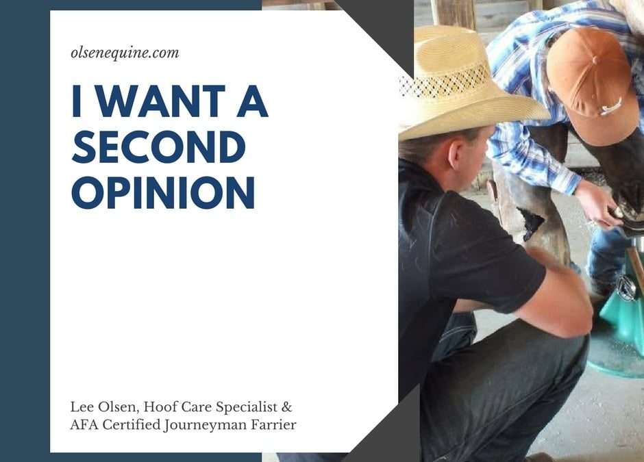 I Want a Second Opinion