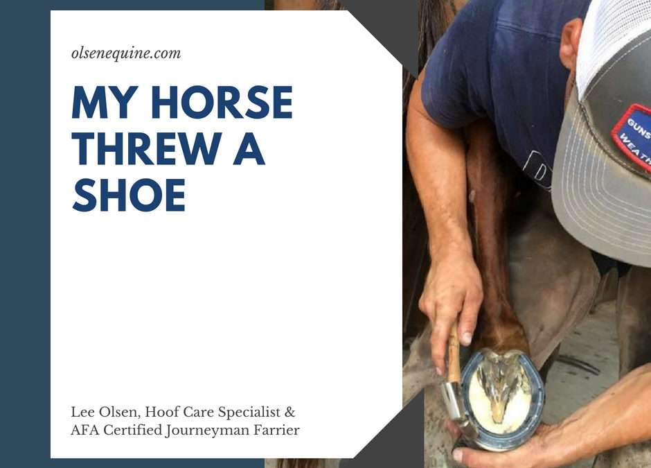 My Horse Threw a Shoe