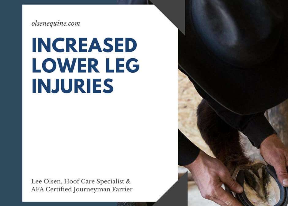 Increased lower leg injuries: Are we breeding them that way?