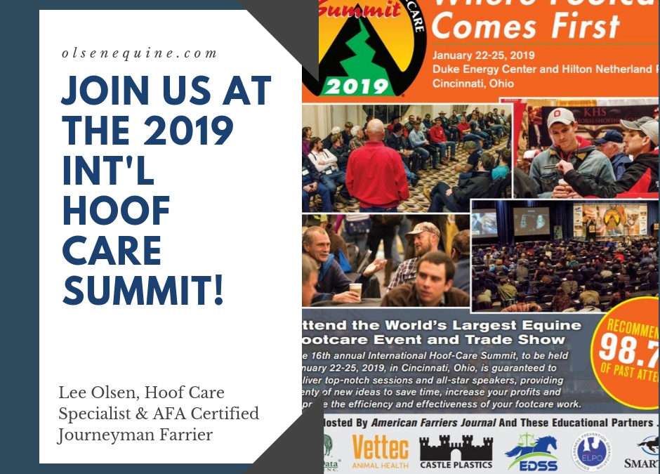 Join us at the 2019 International Hoof Care Summit!